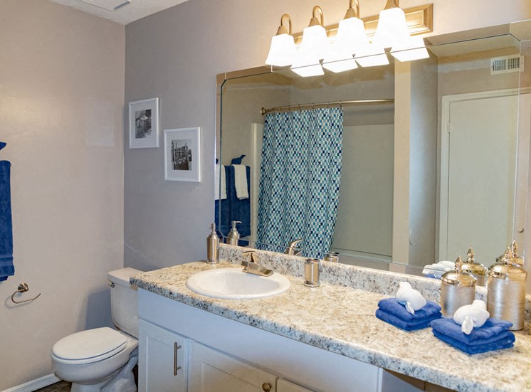 Bathroom interior with spacious countertop at Forest Ridge