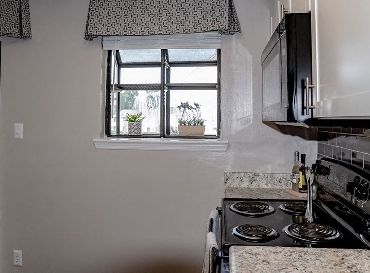 Kitchen window in Forest Ridge apartment