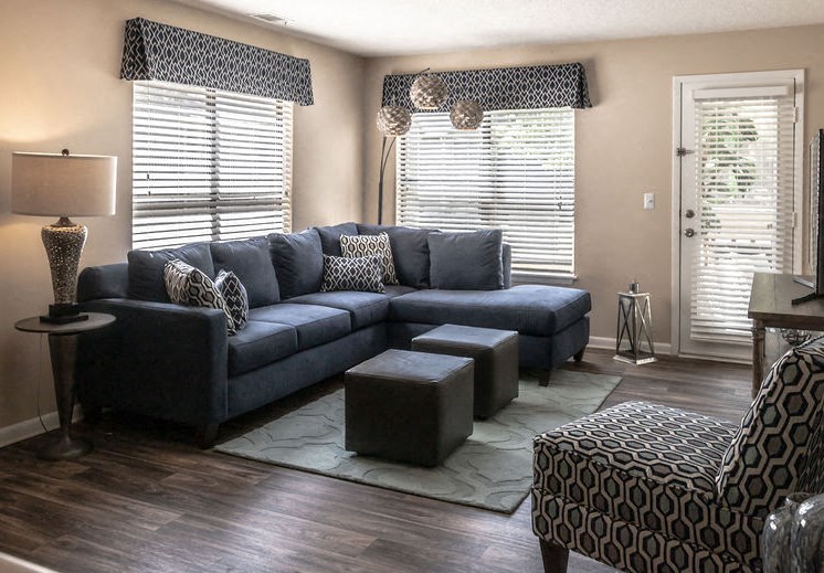 Living room interior in Forest Pointe apartment home