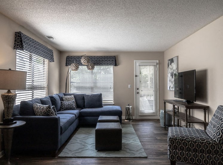 Living room in Macon apartment