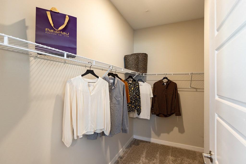 Large walk-in closets with shelving, carpet flooring, and high ceiling of an apartment at The Alexandria in Madison, AL