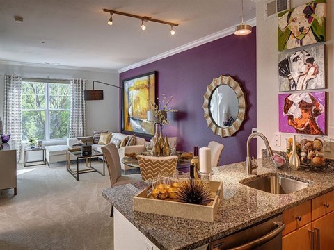 The Residences At Congressional Village