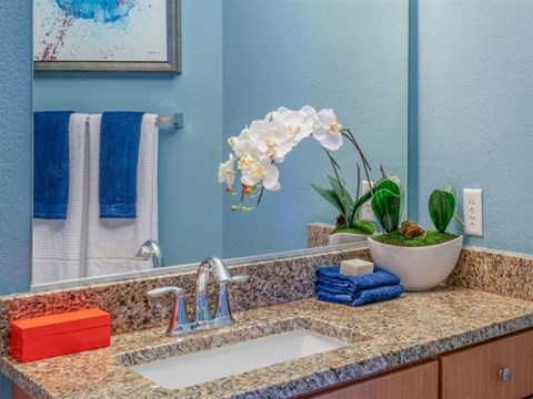 The Residences At Congressional Village