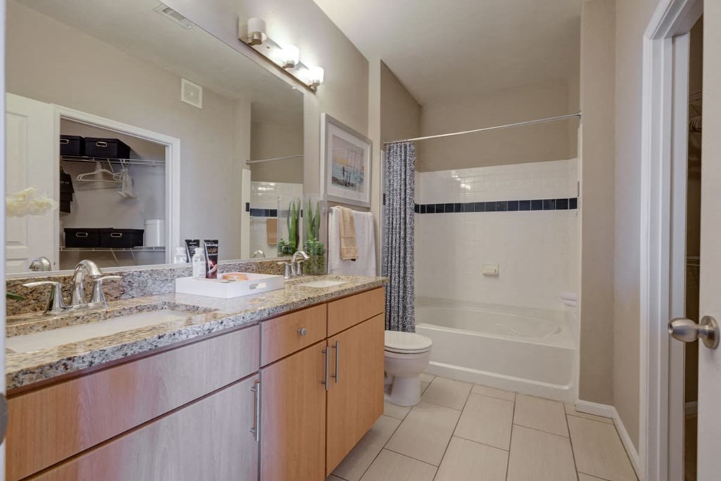 a bathroom with a sink and a toilet and a shower