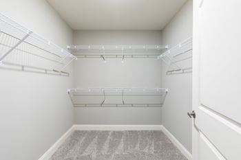 A walk-in closet with white shelves and a grey carpet.
