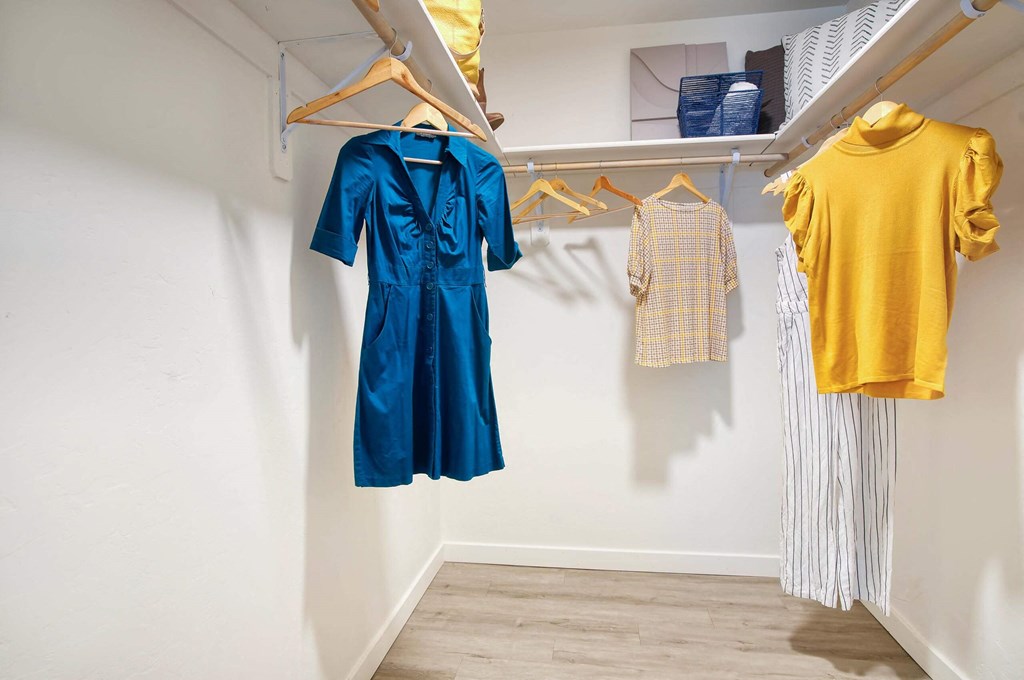Generous Walk-In Closets With Shelving at Presidio Palms Apartments, Tucson, AZ, Arizona , 85701
