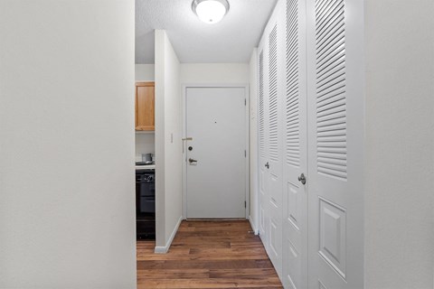 apartment entrance and closet