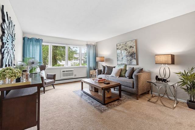 International Village Apartments