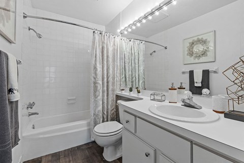 bathroom with a tub and toilet and sink