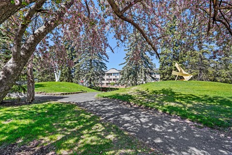 A tree-lined pathway leads to a building in the distance.