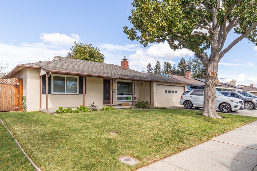 the front of a house with a lawn and a tree
