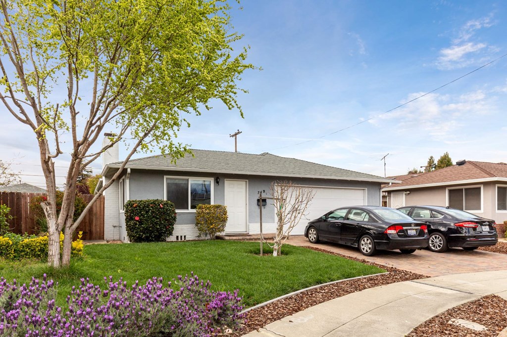 A house with a tree in front of it and two cars parked in the driveway.