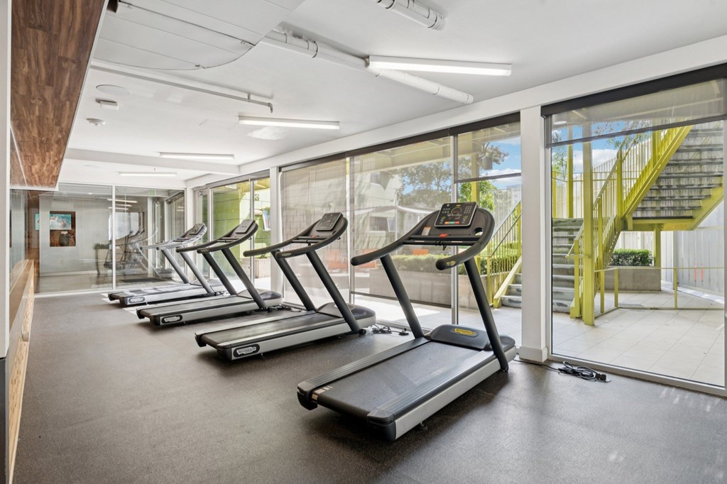 A gym with treadmills and a view of the outside.