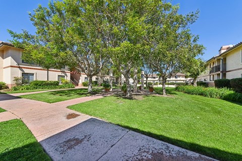A sunny day at a residential area with apartment buildings and a well-maintained lawn.