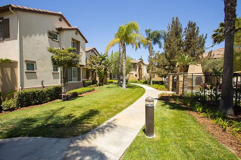 a sidewalk in a neighborhood with houses and palm trees