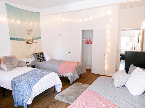 A bedroom with two beds and a canopy bed.