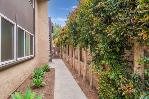 A walkway between two buildings with green plants on the sides.