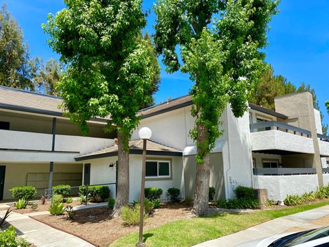 a white building with two trees in front of it