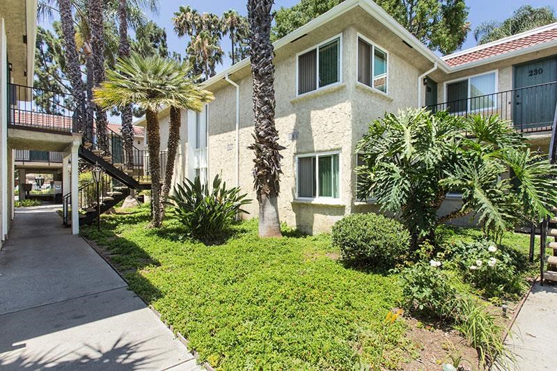 a building with a staircase and palm trees in front of it