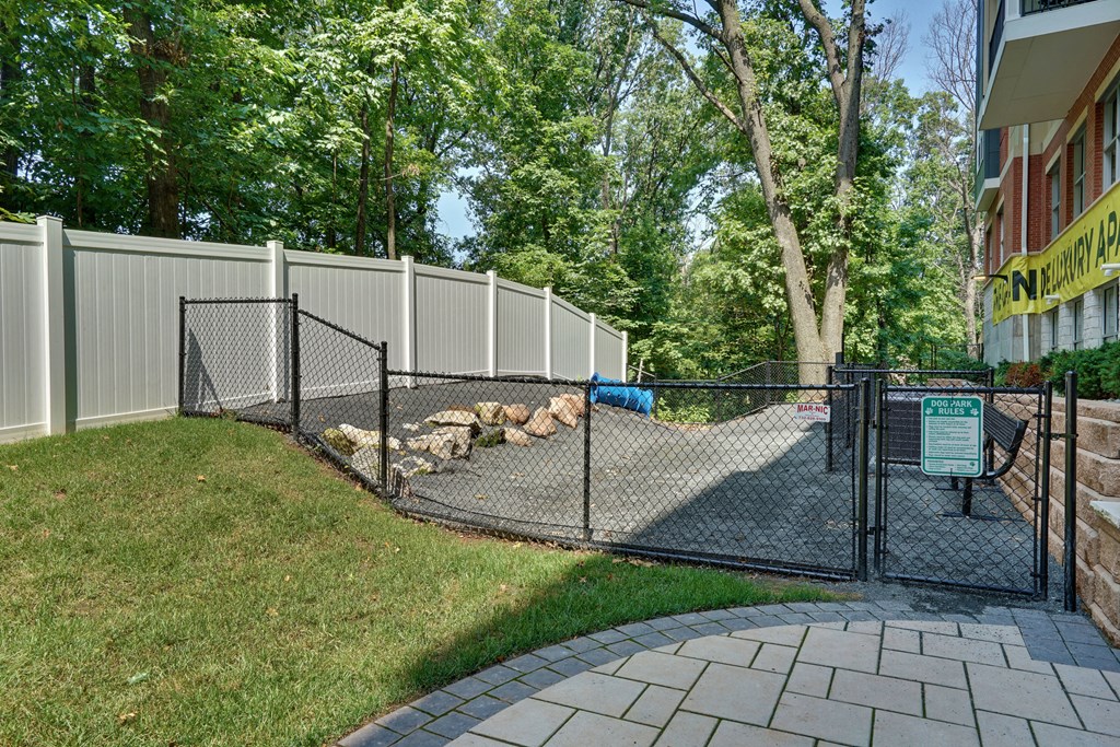 a dog park in a yard with a fence and a dog