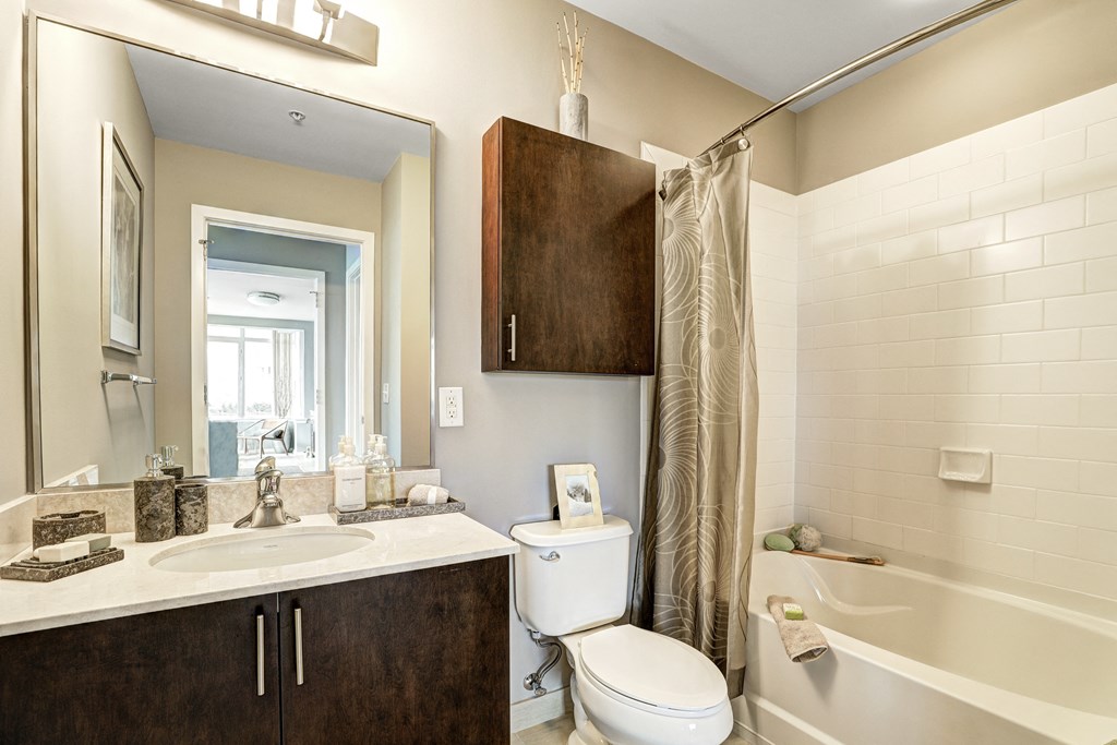 a bathroom with a shower toilet and sink and a mirror