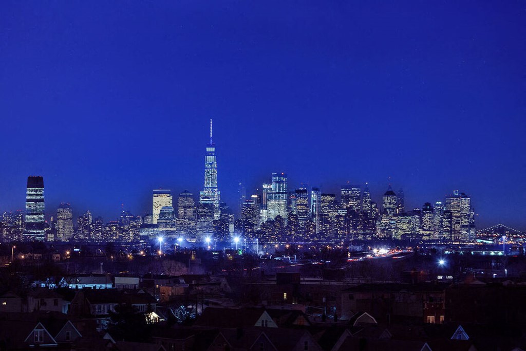 a view of the chicago skyline at night