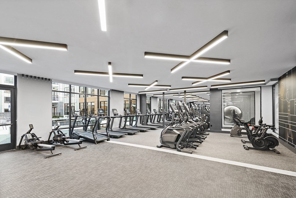 a photo of a gym with cardio equipment and windows