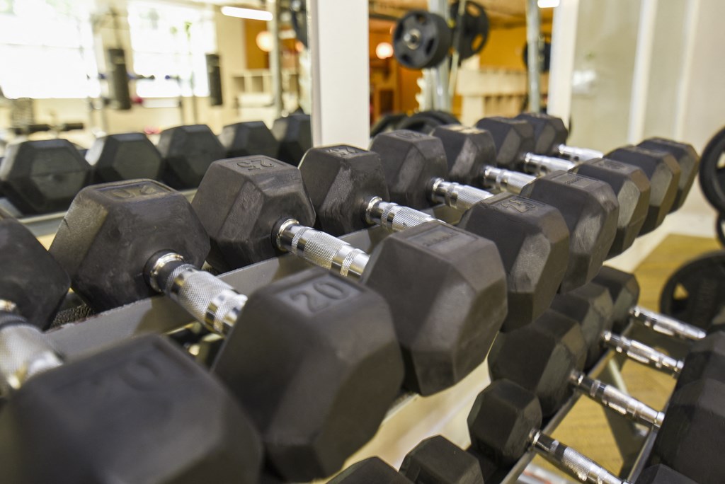 a row of dumbbells in a gym