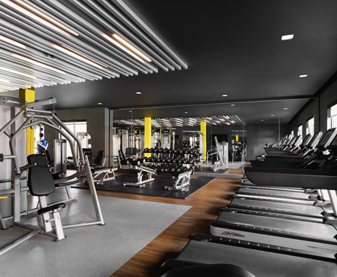 A gym with treadmills, weights, and exercise equipment.