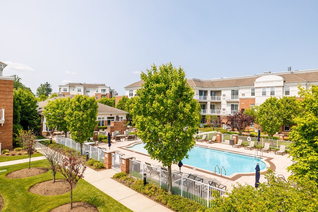 A pool surrounded by trees and a fence in a residential area.