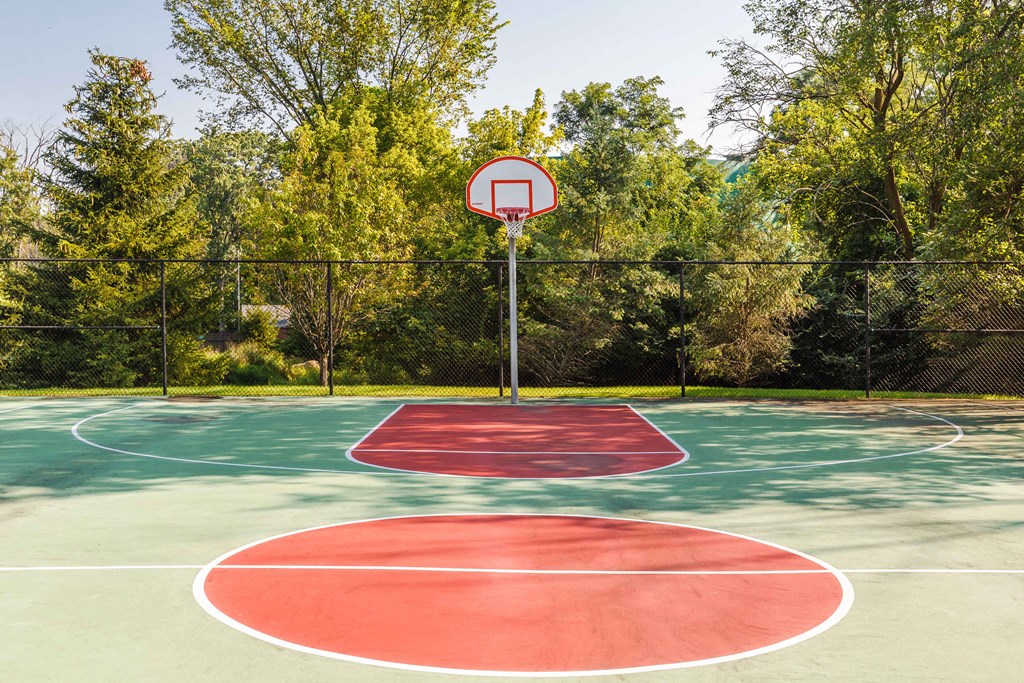 a basketball court in a park with trees