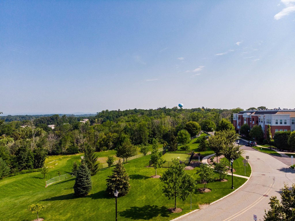 an aerial view of a park with trees and buildings