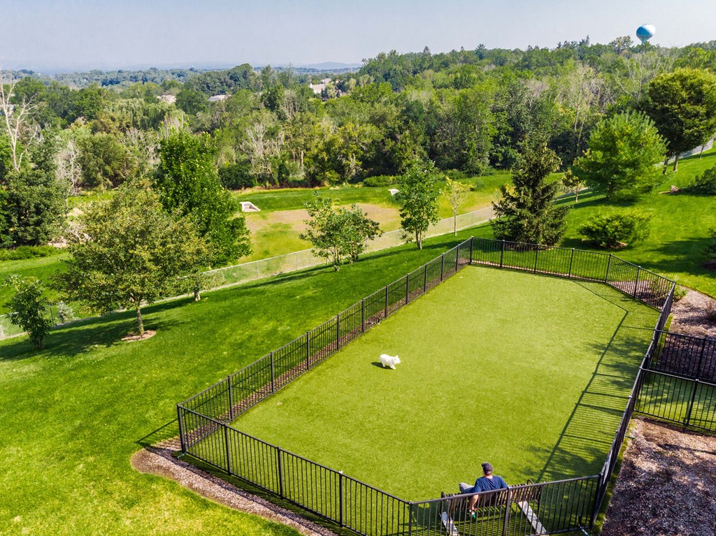 a man sitting on a bench watching a dog in a fenced in dog park