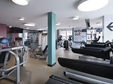 A gym with treadmills, weights, and exercise equipment.