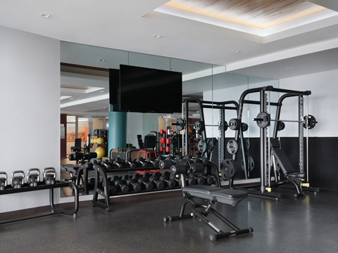 A gym with a variety of equipment including dumbbells, weight plates, and a bench press.