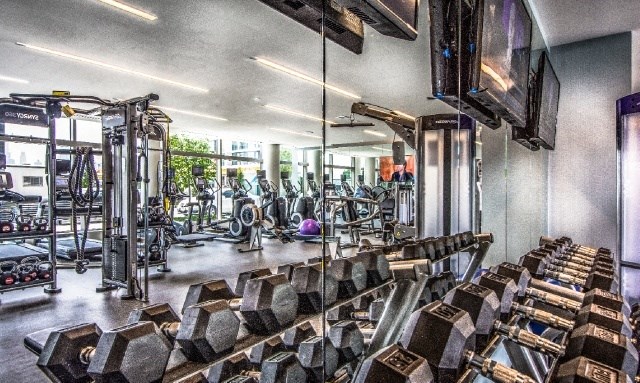 a gym with weights and cardio machines and a tv