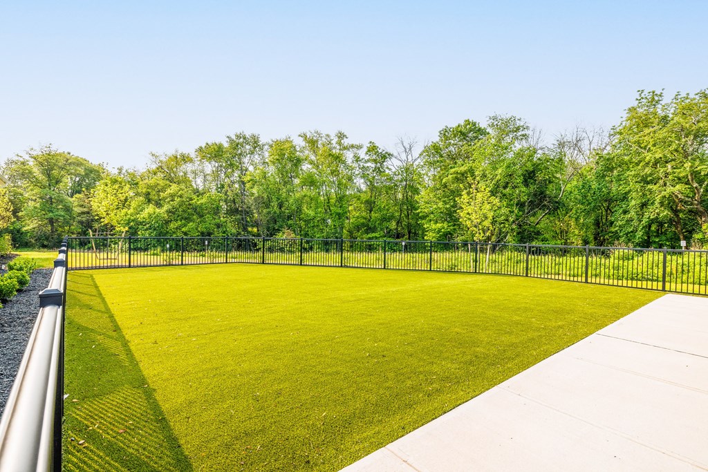 a grassy area with a fence and trees in the background