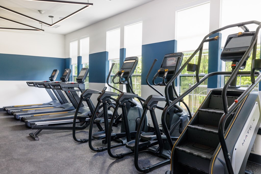 a row of cardio machines in a gym