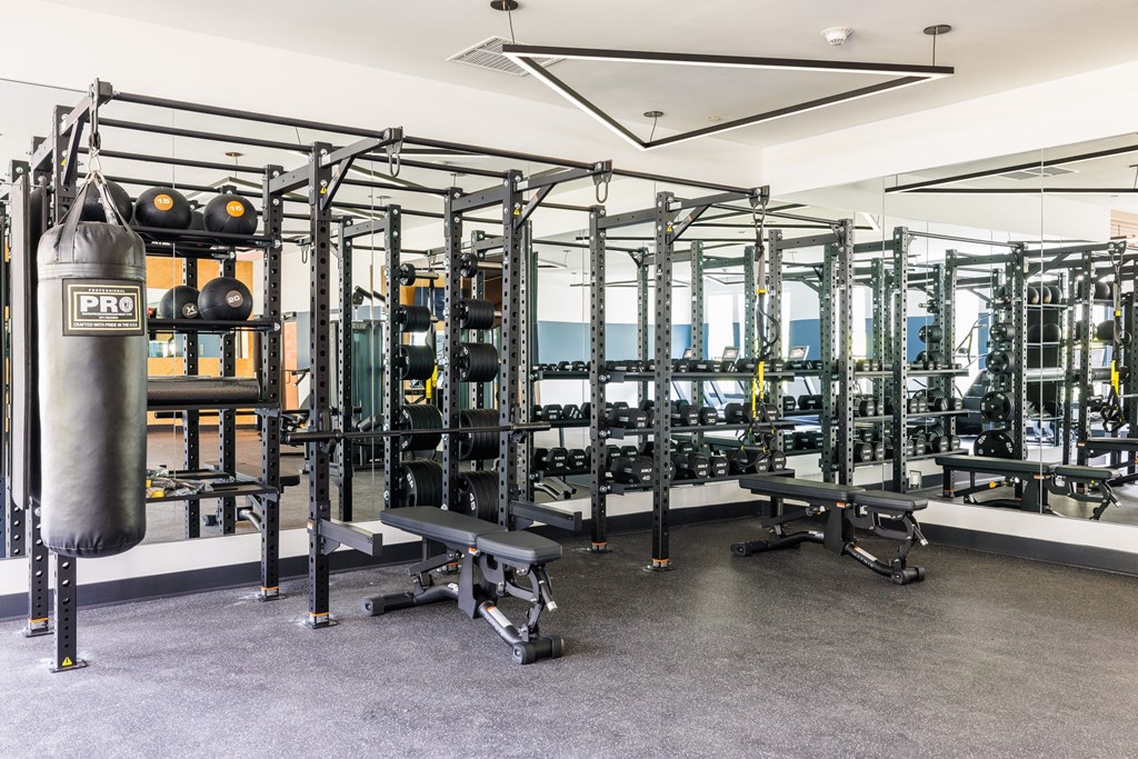 a view of the weights area in the gym