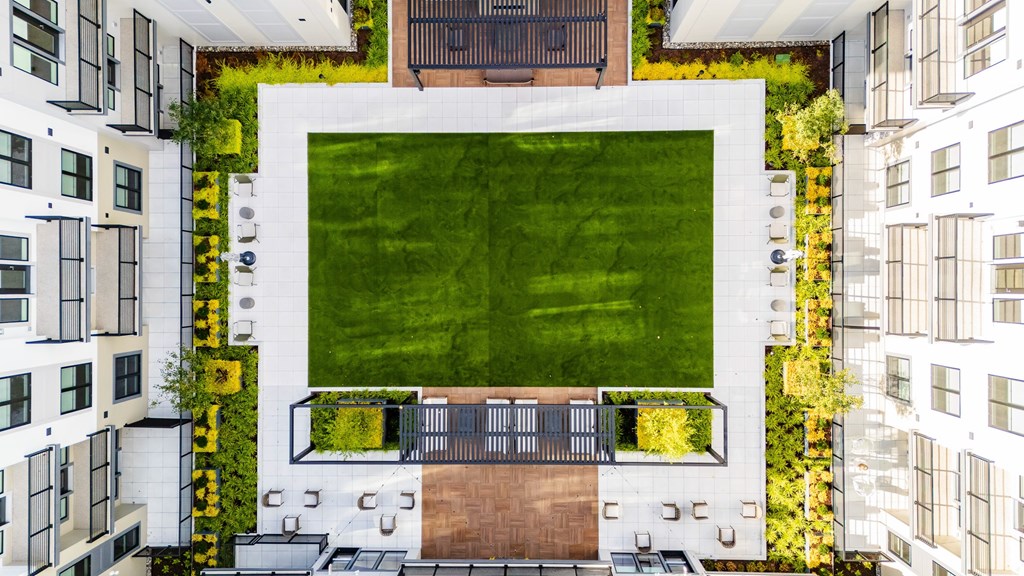 A large square lawn is surrounded by buildings.