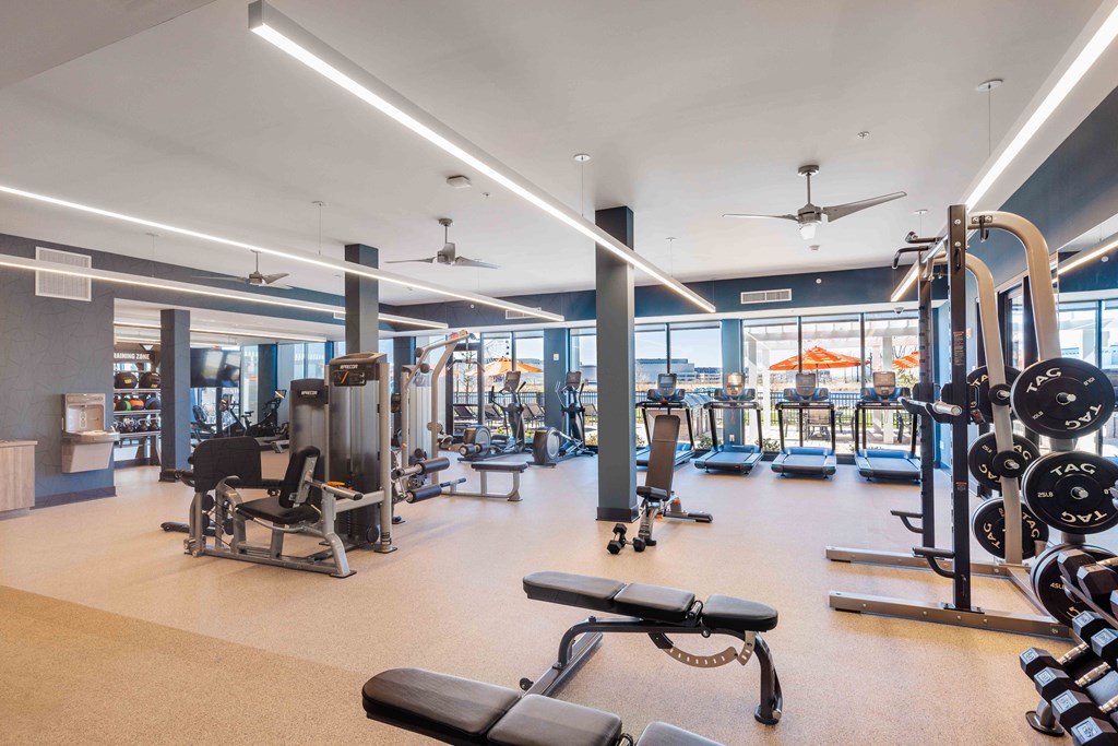 a gym with weights and other exercise equipment and windows