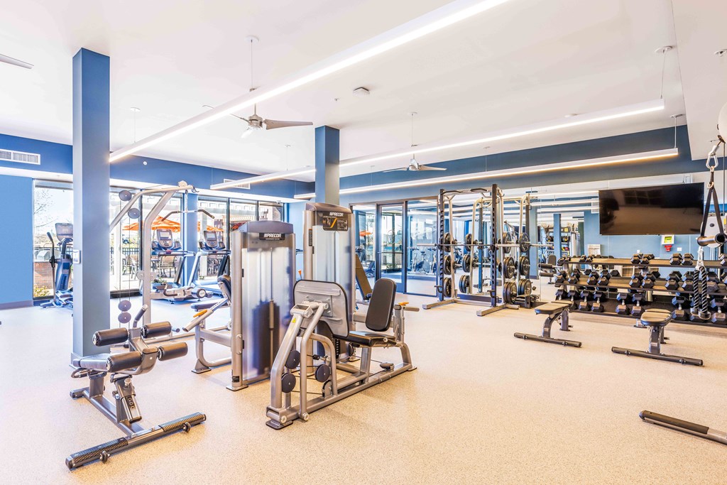 a gym with weights and cardio machines and a tv
