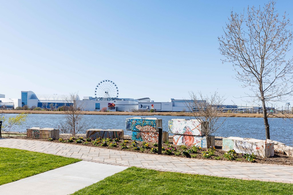 A park with a walkway, a tree, and a body of water with a building in the background.