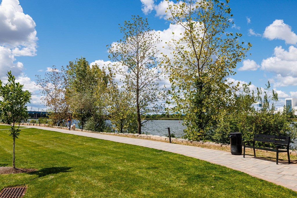 A park with a bench and a tree.