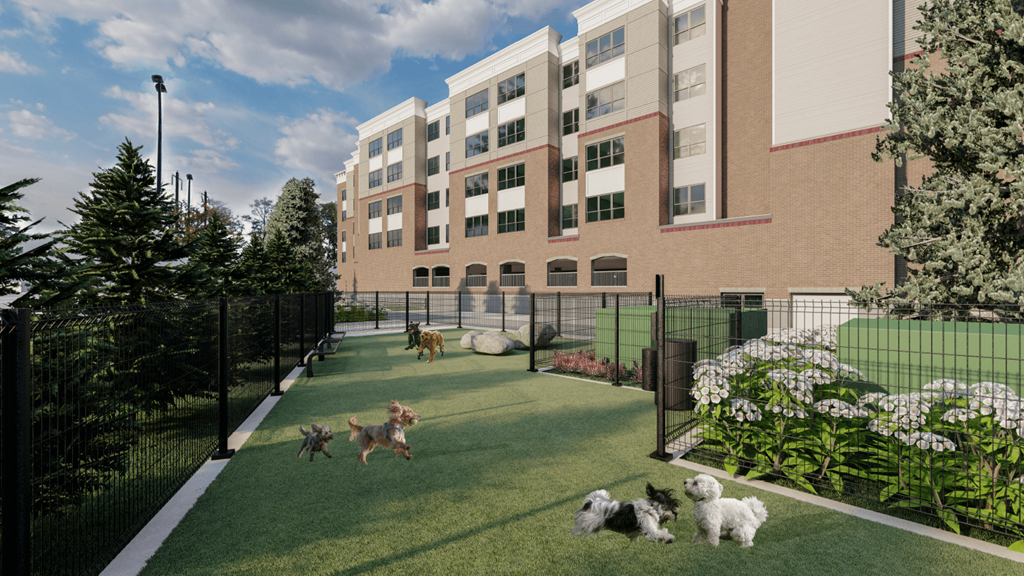 A dog is playing in the grass in front of a building.