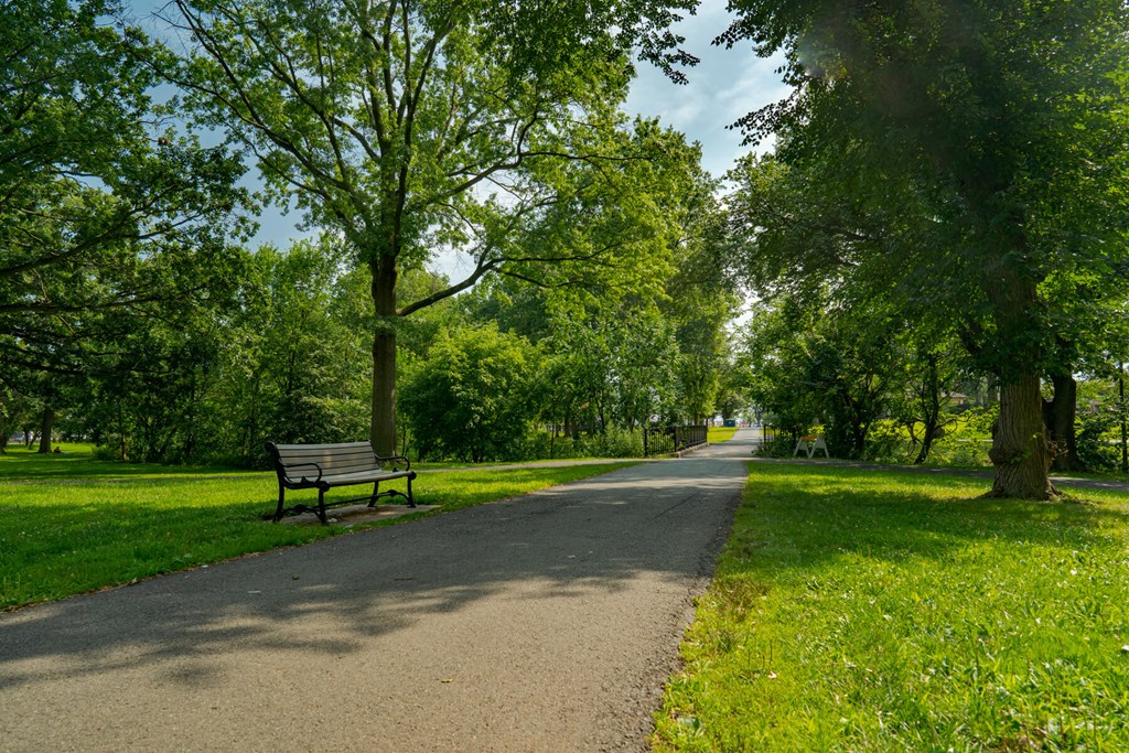 A park with a bench and a path.