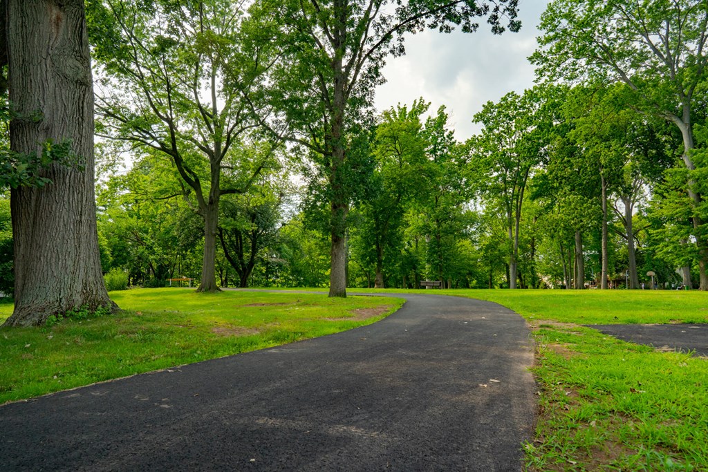 A winding path in a park with trees on both sides.