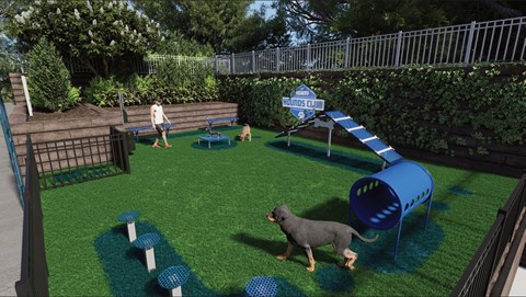 A dog is playing in a dog park with a blue slide and a man watching.