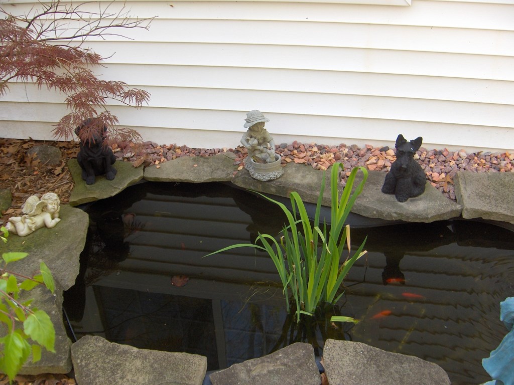 a small fish pond in the side of a house with two cats on the ledge