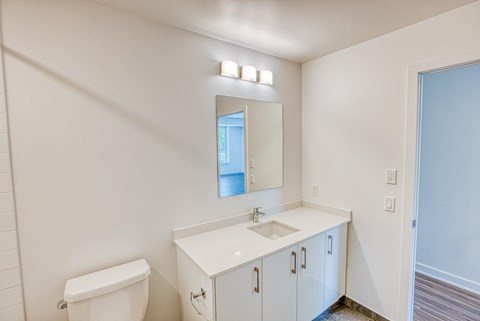 a bathroom with a mirror and a toilet and a sink